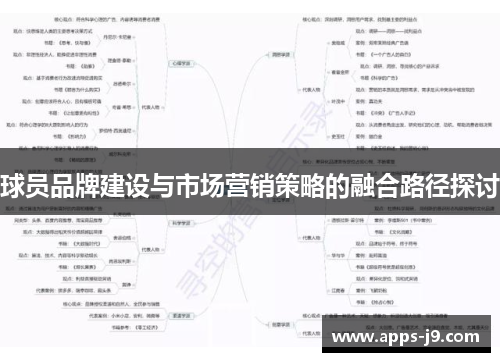 球员品牌建设与市场营销策略的融合路径探讨