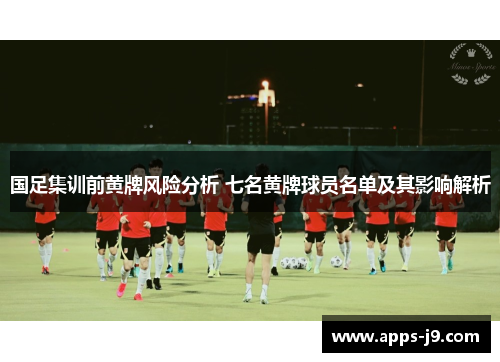 国足集训前黄牌风险分析 七名黄牌球员名单及其影响解析