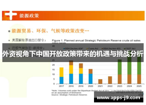 外资视角下中国开放政策带来的机遇与挑战分析