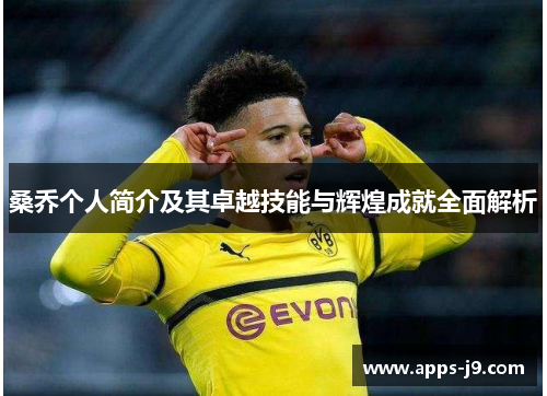 桑乔个人简介及其卓越技能与辉煌成就全面解析