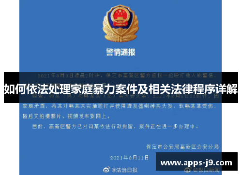 如何依法处理家庭暴力案件及相关法律程序详解