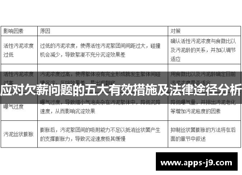 应对欠薪问题的五大有效措施及法律途径分析
