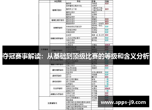 夺冠赛事解读：从基础到顶级比赛的等级和含义分析