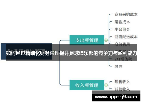 如何通过精细化财务管理提升足球俱乐部的竞争力与盈利能力 如何通过精细化财务管理提升足球俱乐部的竞争力与盈利能力