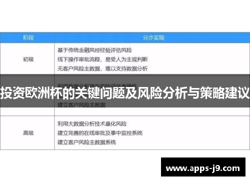 投资欧洲杯的关键问题及风险分析与策略建议 投资欧洲杯的关键问题及风险分析与策略建议